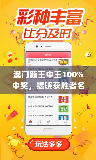 澳门王中王100%期期中一期-精选解析、落实与策略