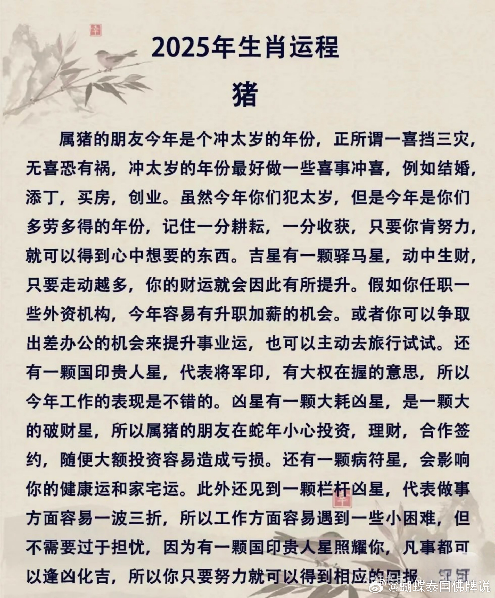 聚焦 第1256页