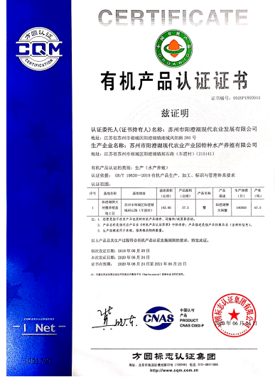 2025澳门今晚开特马,公证解答解释与落实展望