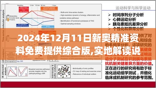 2025全年准确内部彩免费资料资料,全面释义解释与落实展望