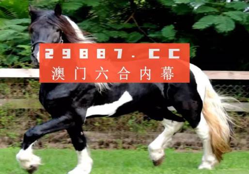 澳门与香港一肖一码一一子中特-详细解答、解释与落实