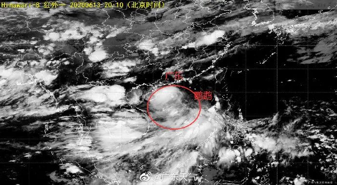 小鹦鹉台风最新情况