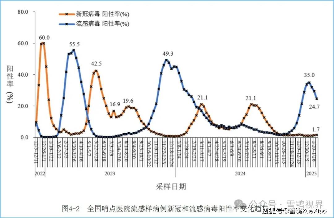 最新的新冠病毒调查