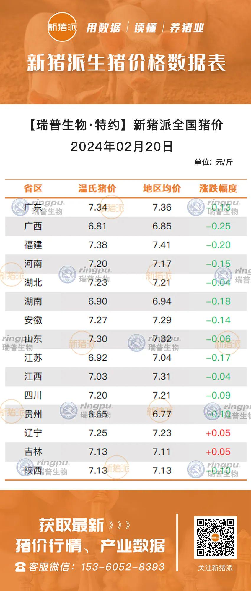 今日猪价最新报价贵州