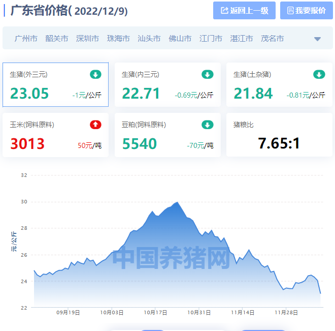 今日广东猪价最新价格