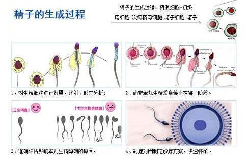 精子窝最新网站入口