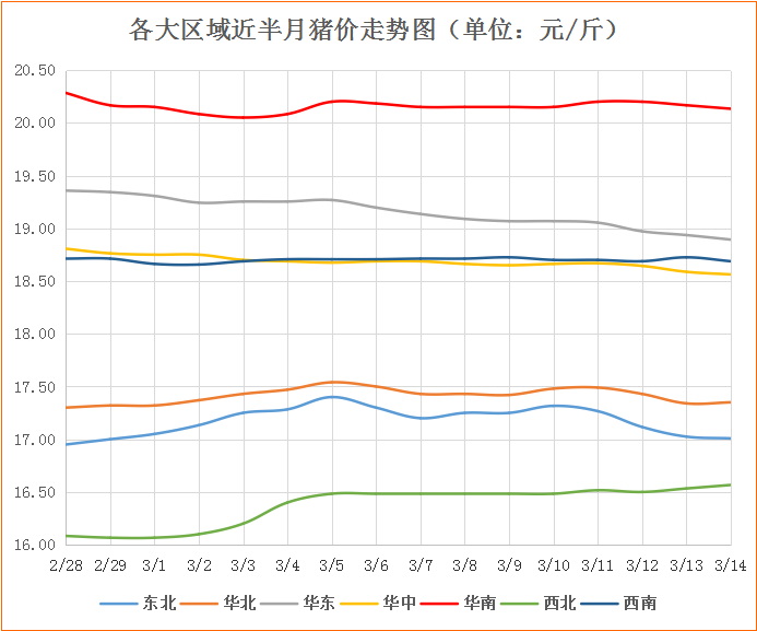 白条猪价最新行情