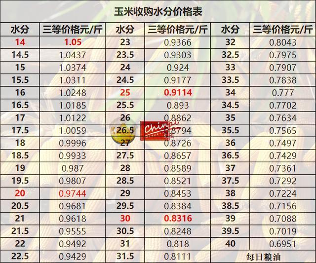 最新湿玉米价格